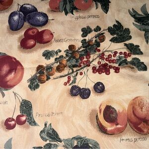 3 Pieces 16”L Each 54” W Terior Fabric Design Drapery Fabric Latin Names Fruit